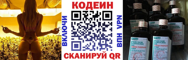 где можно купить   KRAKEN tor  Кодеиновый сироп Lean Purple Drank  Когалым 