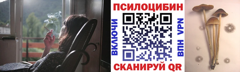 где продают Когалым Псилоцибиновые грибы Cubensis