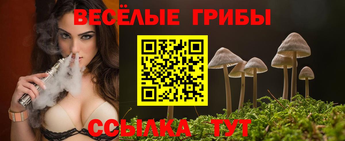 Галлюциногенные грибы MAGIC MUSHROOMS  Псилоцибиновые грибы Cubensis  купить   Вход с VPN  Когалым 